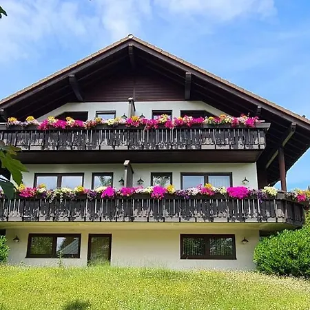 Schwalbennest * Goslar